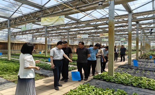 2024年6月27日，中國綠色食品發(fā)展中心相關(guān)領(lǐng)導(dǎo)蒞臨農(nóng)業(yè)總公司考察調(diào)研_副本.jpg